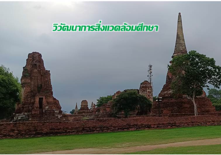 วิวัฒนาการสิ่งแวดล้อม